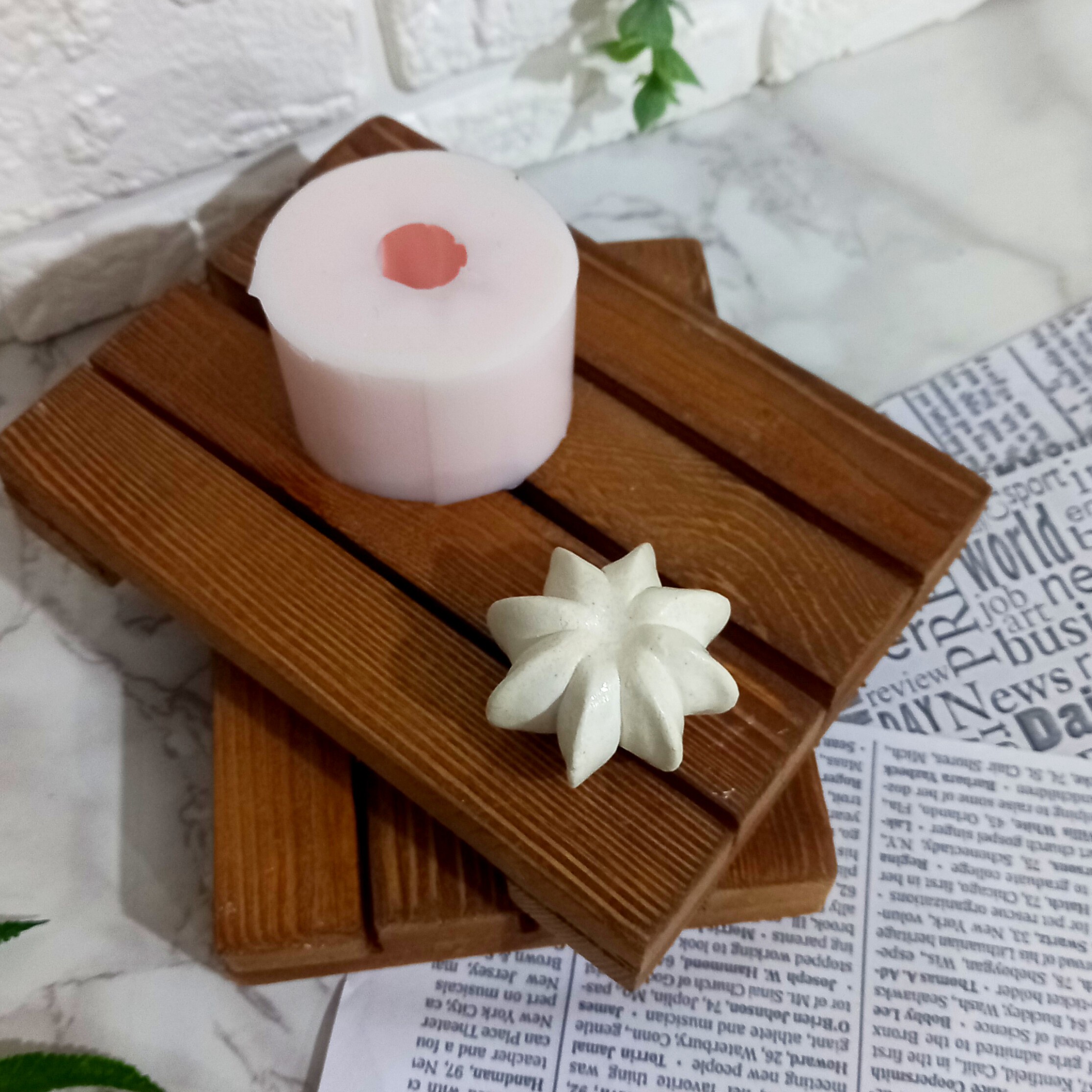قالب کاکتوس کد 5