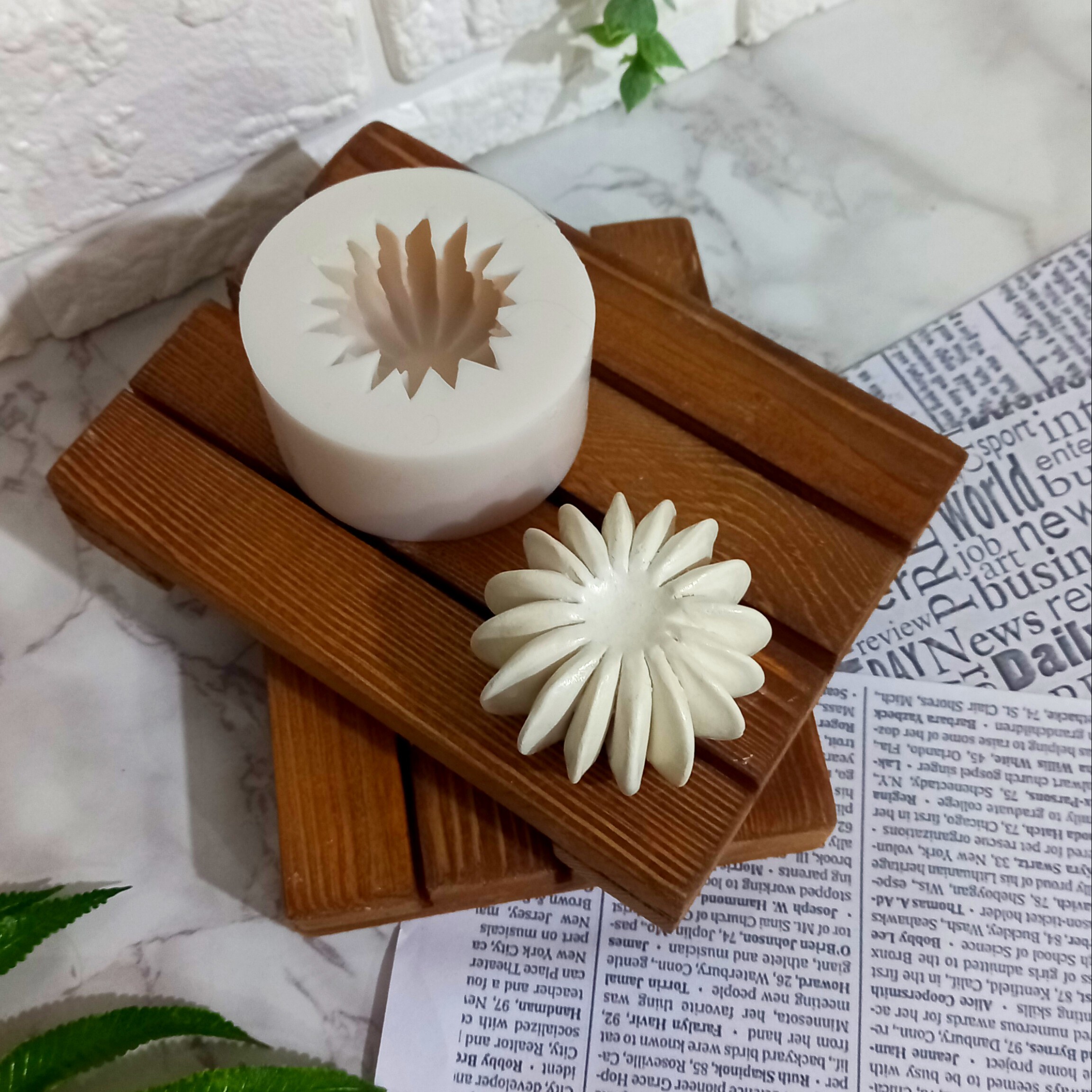قالب کاکتوس کد2